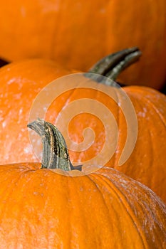 3 big Pumpkins