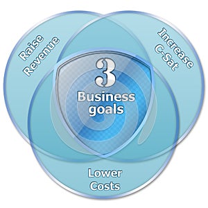 3 business goals