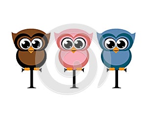 3 cute owls institution vector