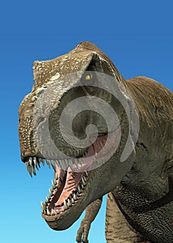 3 D rendering of a Tyrannosaurus Rex.