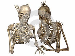 3 D Skeletons - Friends for ever