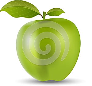 3-dimensional green apple  vector illustration  white background