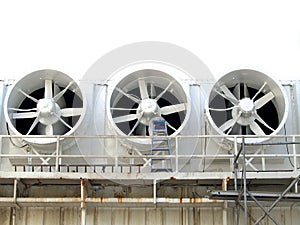 3 Fans