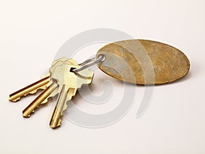 3 Gold Keys and blank keychain isolated photo