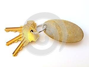 3 Gold Keys and blank keychain on white photo