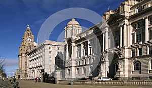 3 graces liverpool