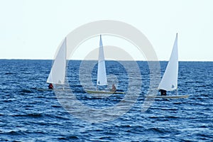 3 Kayak Sailboats