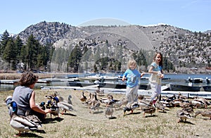 3 kids hand feeding ducks