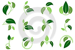 3 leaves 3 colors 3 twigs symbol logo
