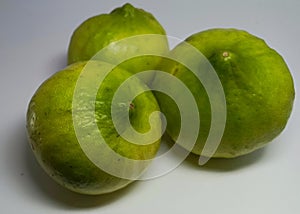 3 lemon known as Citrus Medica