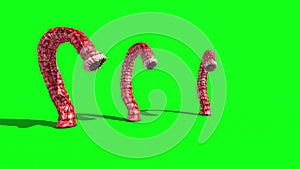 3 Monstrous Alien Worms Attack Green Screen 3D Rendering Animation