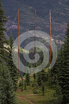 3 powerline poles going through forest mountains