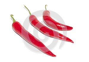 3 red hot natural chili peppers. Fresh organic  chili pepper isolated on white
