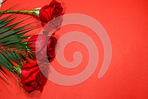 3 red roses . Red on the red background. Copyspace for text.