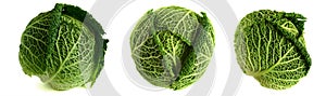 3 savoy cabbages