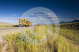 3 School buses on the road
