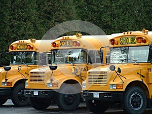 3 school busses