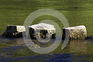 3 stepping stones in river