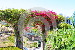 3 stone arches with lush green plants and red flowers down a staircase with a white hand rail with gray homes along the mountain