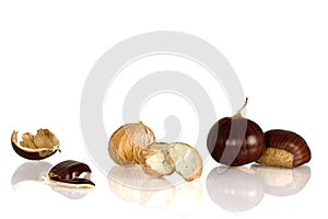 3 Sweet edible chestnuts isolated on white background