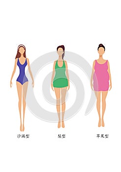3 woman body shapes, slim, chubbiness and fat