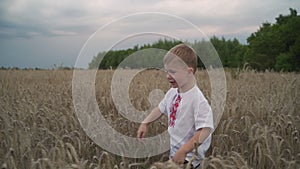 3 year caucasian Boy Running On Golden Wheat Field, Slow Motion.