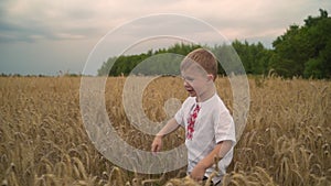 3 year caucasian Boy Running On Golden Wheat Field, Slow Motion.