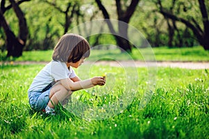 3 years old toddler child boy walking alone in spring or summer walk in garden