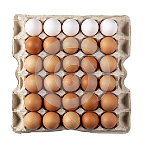 30 eggs raw in a carton box on white background. Thirty fresh chicken eggs. File contains clipping path