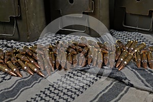 .308 caliber ammunition and ammunition containers on a green-gray fabric background