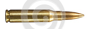 .308 winchester round