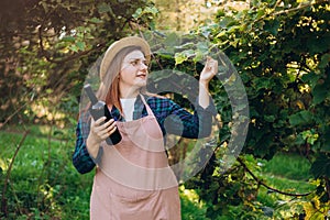 30s Woman in hat tasting red wine in vineyard. Portrait of pretty young woman holding bottle of wine on sunny day