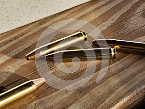 350 Legend Rifle shells