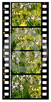 35mm color movie film