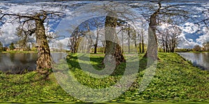 360 hdri panorama view on pedestrian walking path among poplar grove with clumsy branches near lake in full seamless spherical .