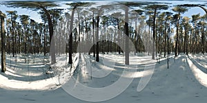 360 vr beautiful snow covered landscape in wild siberian nature during winter sunny morning or sunset. Quiet, noiseless