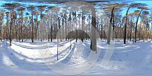 360 vr beautiful snow covered landscape in wild siberian nature during winter sunny morning or sunset. Quiet, noiseless