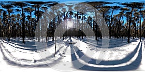 360 vr beautiful snow covered landscape in wild siberian nature during winter sunny morning or sunset. Quiet, noiseless