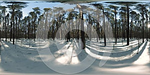 360 vr beautiful snow covered landscape in wild siberian nature during winter sunny morning or sunset. Quiet, noiseless