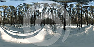 360 vr beautiful snow covered landscape in wild siberian nature during winter sunny morning or sunset. Quiet, noiseless