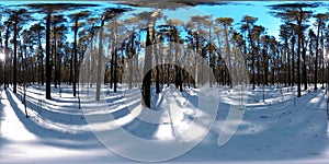 360 vr beautiful snow covered landscape in wild siberian nature during winter sunny morning or sunset. Quiet, noiseless