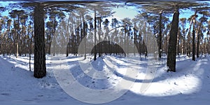 360 vr beautiful snow covered landscape in wild siberian nature during winter sunny morning or sunset. Quiet, noiseless