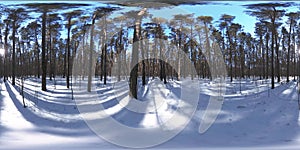 360 vr beautiful snow covered landscape in wild siberian nature during winter sunny morning or sunset. Quiet, noiseless