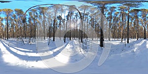 360 vr beautiful snow covered landscape in wild siberian nature during winter sunny morning or sunset. Quiet, noiseless