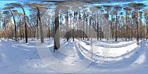 360 vr beautiful snow covered landscape in wild siberian nature during winter sunny morning or sunset. Quiet, noiseless