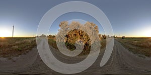 360 VR Rural dirt road in a field at sunset