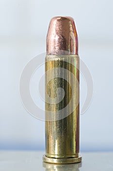 .38 Special round nose FMJ round photo