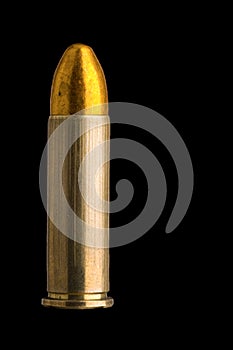 .38 Special round nose FMJ round