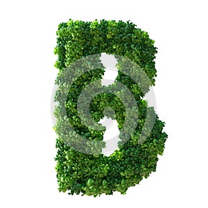 3d alphabet letter B. Green plant, leaves, grass, moss, basil, mint. Isolated on a white background with Clipping Path. 3d