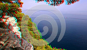 3D anaglyph. Pines bend over a rocky shore.Blue sea view